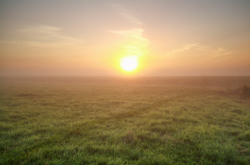 misty sunrise over green meadow