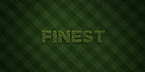 FINEST - fresh Grass letters with flowers and dandelions - 3D rendered royalty free stock image. Can be used for online banner ads and direct mailers..