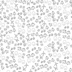 Fototapeta na wymiar Animal vector pattern. Poultry, pet steps on a white background.
