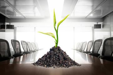 Plant growing on boardroom.business investment financial growth concept