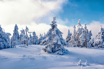Harz im Winter bei Schnee