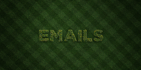 EMAILS - fresh Grass letters with flowers and dandelions - 3D rendered royalty free stock image. Can be used for online banner ads and direct mailers..