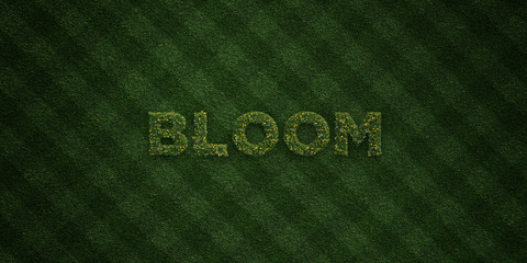 BLOOM - fresh Grass letters with flowers and dandelions - 3D rendered royalty free stock image. Can be used for online banner ads and direct mailers..