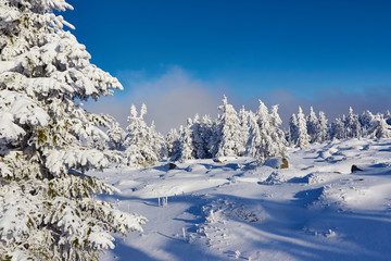 Winterlandschaft auf dem Brocken