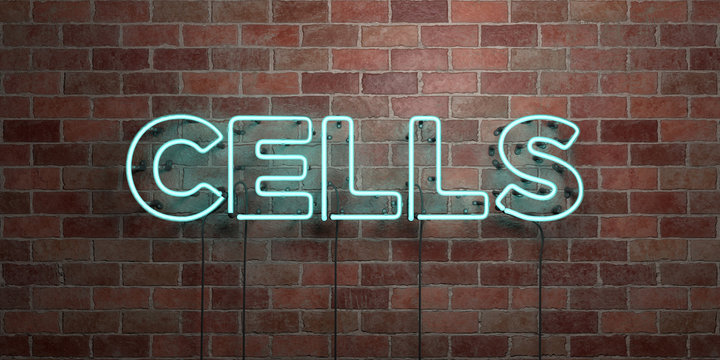 CELLS - fluorescent Neon tube Sign on brickwork - Front view - 3D rendered royalty free stock picture. Can be used for online banner ads and direct mailers..