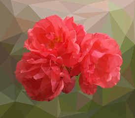 Abstract polygonal rose. Vector illustration of three red roses in low poly style on background. Picture of flowers made of colored triangles.