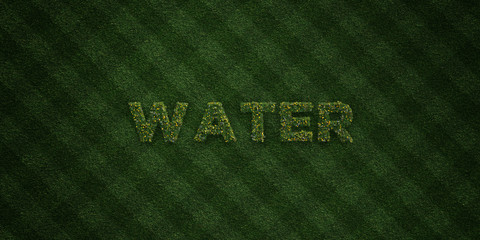 WATER - fresh Grass letters with flowers and dandelions - 3D rendered royalty free stock image. Can be used for online banner ads and direct mailers..