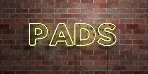 Obraz premium PADS - fluorescent Neon tube Sign on brickwork - Front view - 3D rendered royalty free stock picture. Can be used for online banner ads and direct mailers..