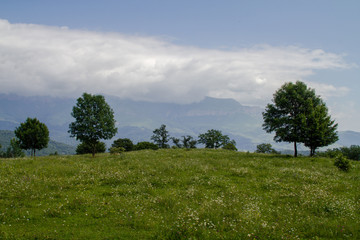 Hills and Meadows with Green Trees, Mountains and Clouds