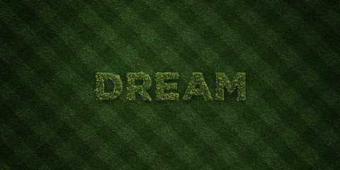DREAM - fresh Grass letters with flowers and dandelions - 3D rendered royalty free stock image. Can be used for online banner ads and direct mailers..