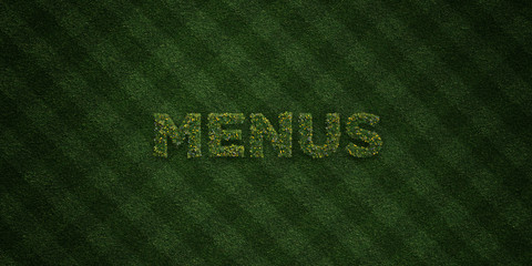 MENUS - fresh Grass letters with flowers and dandelions - 3D rendered royalty free stock image. Can be used for online banner ads and direct mailers..