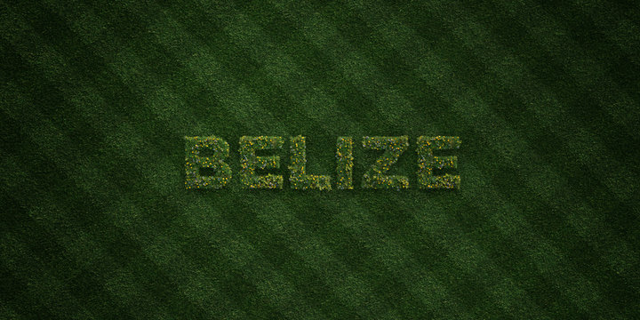 BELIZE - fresh Grass letters with flowers and dandelions - 3D rendered royalty free stock image. Can be used for online banner ads and direct mailers..