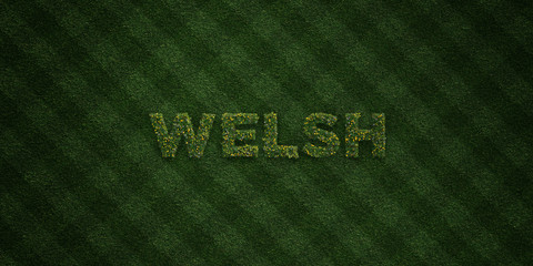 WELSH - fresh Grass letters with flowers and dandelions - 3D rendered royalty free stock image. Can be used for online banner ads and direct mailers..