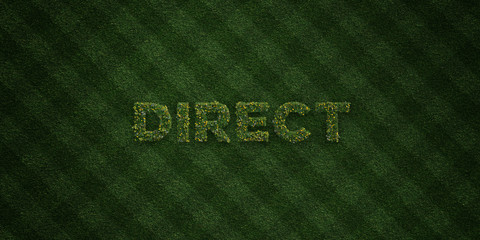 DIRECT - fresh Grass letters with flowers and dandelions - 3D rendered royalty free stock image. Can be used for online banner ads and direct mailers..