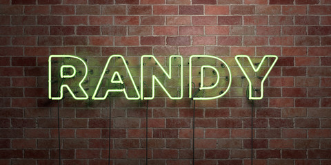 RANDY - fluorescent Neon tube Sign on brickwork - Front view - 3D rendered royalty free stock picture. Can be used for online banner ads and direct mailers..