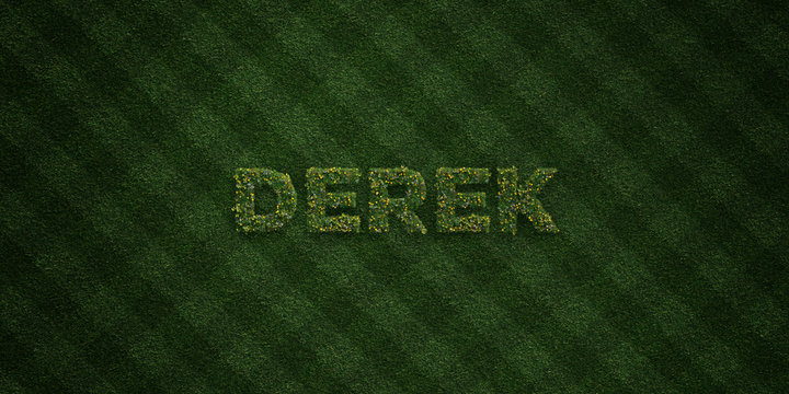 DEREK - fresh Grass letters with flowers and dandelions - 3D rendered royalty free stock image. Can be used for online banner ads and direct mailers..