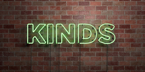 KINDS - fluorescent Neon tube Sign on brickwork - Front view - 3D rendered royalty free stock picture. Can be used for online banner ads and direct mailers..