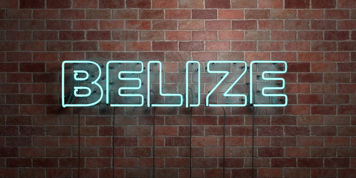 BELIZE - fluorescent Neon tube Sign on brickwork - Front view - 3D rendered royalty free stock picture. Can be used for online banner ads and direct mailers..