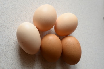 eggs