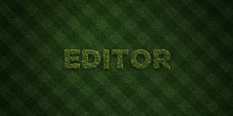 EDITOR - fresh Grass letters with flowers and dandelions - 3D rendered royalty free stock image. Can be used for online banner ads and direct mailers..