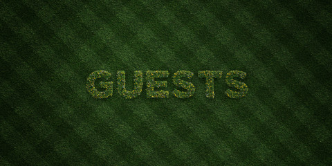 GUESTS - fresh Grass letters with flowers and dandelions - 3D rendered royalty free stock image. Can be used for online banner ads and direct mailers..