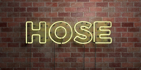 HOSE - fluorescent Neon tube Sign on brickwork - Front view - 3D rendered royalty free stock picture. Can be used for online banner ads and direct mailers..