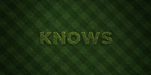 KNOWS - fresh Grass letters with flowers and dandelions - 3D rendered royalty free stock image. Can be used for online banner ads and direct mailers..