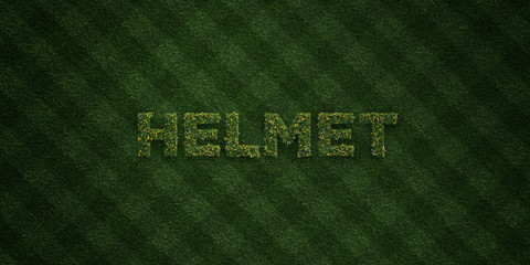 HELMET - fresh Grass letters with flowers and dandelions - 3D rendered royalty free stock image. Can be used for online banner ads and direct mailers..