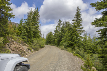White jeep on the dirt road in the forest 