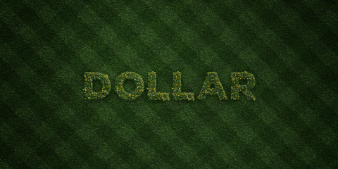 DOLLAR - fresh Grass letters with flowers and dandelions - 3D rendered royalty free stock image. Can be used for online banner ads and direct mailers..