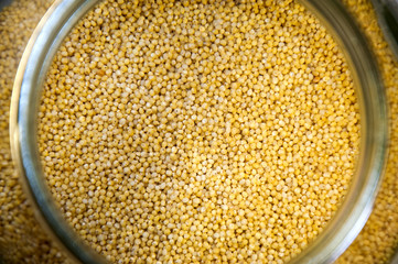 Yellow millet seeds in a glass container over the white background.