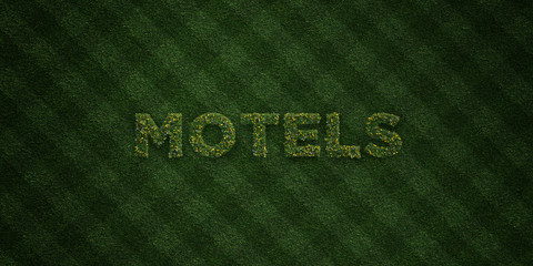 MOTELS - fresh Grass letters with flowers and dandelions - 3D rendered royalty free stock image. Can be used for online banner ads and direct mailers..