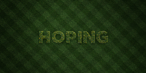HOPING - fresh Grass letters with flowers and dandelions - 3D rendered royalty free stock image. Can be used for online banner ads and direct mailers..