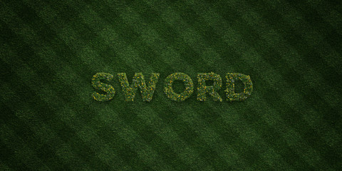 SWORD - fresh Grass letters with flowers and dandelions - 3D rendered royalty free stock image. Can be used for online banner ads and direct mailers..