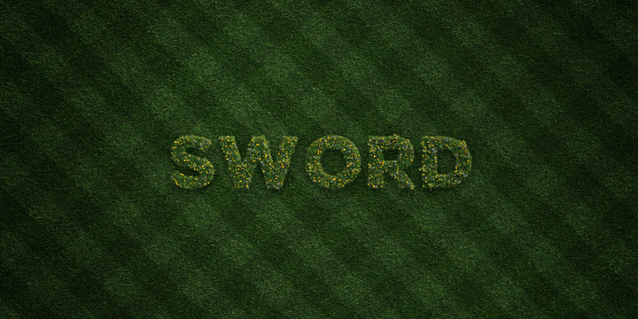 SWORD - fresh Grass letters with flowers and dandelions - 3D rendered royalty free stock image. Can be used for online banner ads and direct mailers..