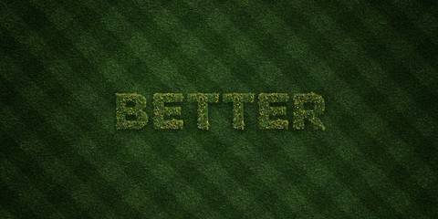 BETTER - fresh Grass letters with flowers and dandelions - 3D rendered royalty free stock image. Can be used for online banner ads and direct mailers..