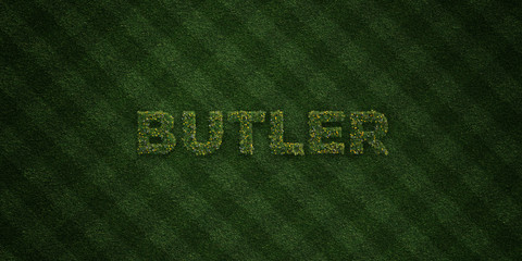 BUTLER - fresh Grass letters with flowers and dandelions - 3D rendered royalty free stock image. Can be used for online banner ads and direct mailers..