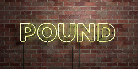 POUND - fluorescent Neon tube Sign on brickwork - Front view - 3D rendered royalty free stock picture. Can be used for online banner ads and direct mailers..