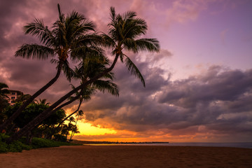Obraz na płótnie Canvas sunrise with two palm trees
