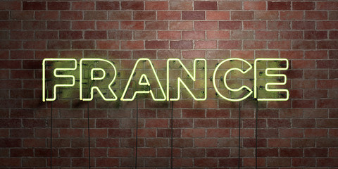 FRANCE - fluorescent Neon tube Sign on brickwork - Front view - 3D rendered royalty free stock picture. Can be used for online banner ads and direct mailers..