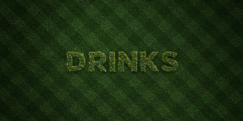 DRINKS - fresh Grass letters with flowers and dandelions - 3D rendered royalty free stock image. Can be used for online banner ads and direct mailers..