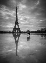 View of the Eiffel Tower from the Trocadero. Reflection tower in wet rain stone pavement. Bird pigeon and its reflection goes to the foreground. BW photography. France. Paris.