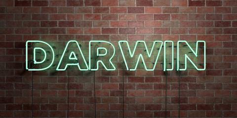 DARWIN - fluorescent Neon tube Sign on brickwork - Front view - 3D rendered royalty free stock picture. Can be used for online banner ads and direct mailers..