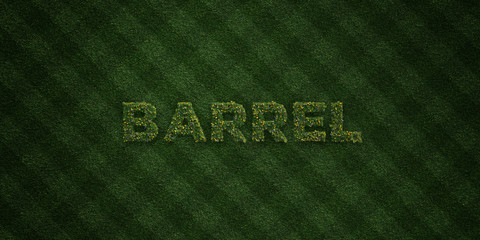 BARREL - fresh Grass letters with flowers and dandelions - 3D rendered royalty free stock image. Can be used for online banner ads and direct mailers..