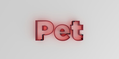 Pet - Red glass text on white background - 3D rendered royalty free stock image.