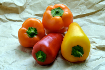 కాప్సికం ఆనం Capsicum annuum 辣椒 トウガラシ Papryka roczna Közönséges paprika Peperoni Ardei Перец פרי стручковый פלפל Speci فليفلة حولية Spanischer Pfeffer Pimiento Morrón Chile Ají Peppers
