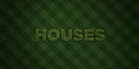 HOUSES - fresh Grass letters with flowers and dandelions - 3D rendered royalty free stock image. Can be used for online banner ads and direct mailers..