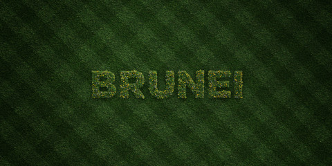 BRUNEI - fresh Grass letters with flowers and dandelions - 3D rendered royalty free stock image. Can be used for online banner ads and direct mailers..