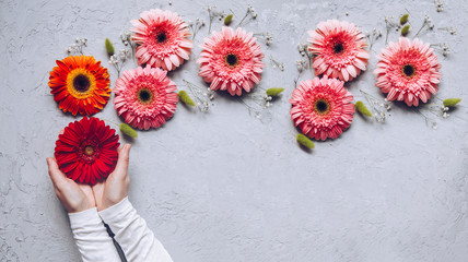 Dreaming concept. Creative Spring bouquet Gerbera flowers in woman hands on the table of concrete texture. 8 march holiday. Design pattern