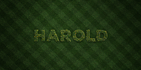 HAROLD - fresh Grass letters with flowers and dandelions - 3D rendered royalty free stock image. Can be used for online banner ads and direct mailers..
